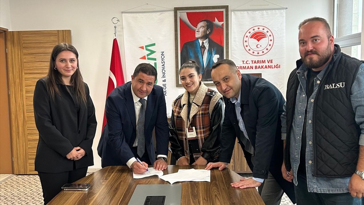 Fındık Araştırma Enstitüsü Özel Sektör ile İşbirliği Yapıyor
