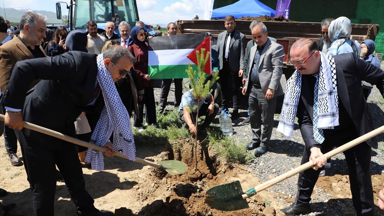Gazze Hatıra Ormanı: Umut ve Dayanışmanın Sesi