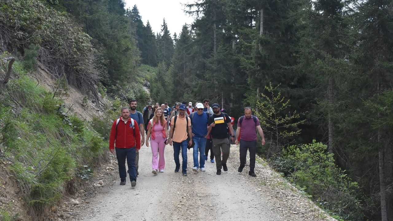 Gümüşhane Yaylalarında Doğa Yürüyüşleri Başladı