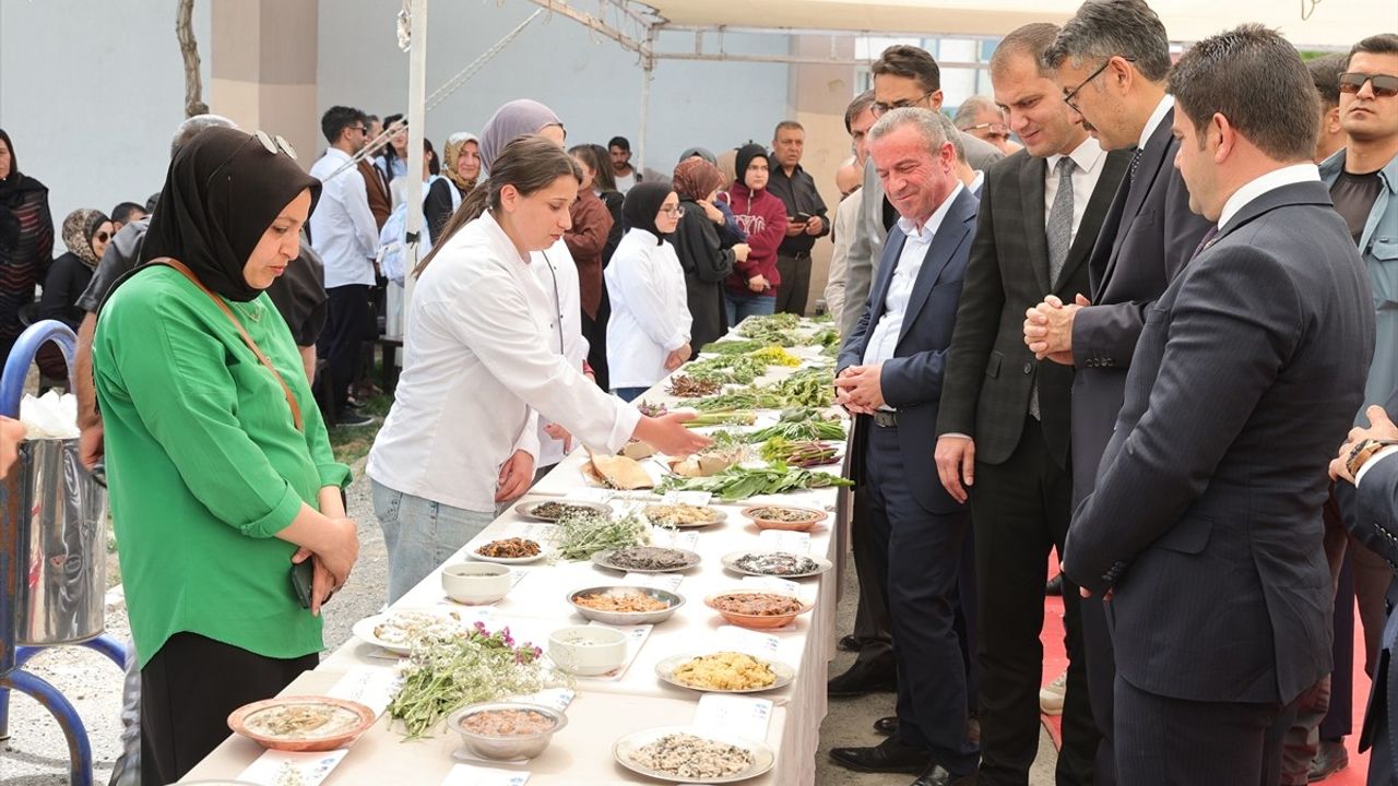 Hakkari'de Yöresel Ot Festivali Coşkusu