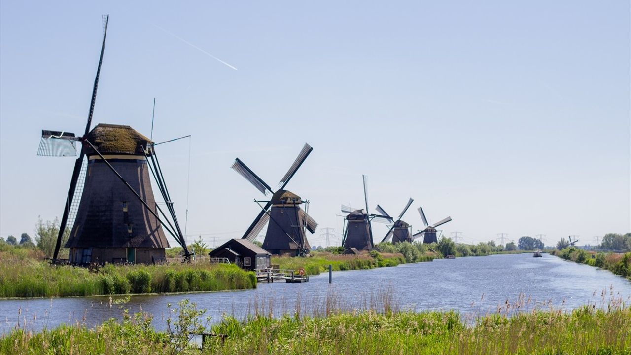 Hollanda'da Ulusal Değirmen Günü Coşkuyla Kutlandı