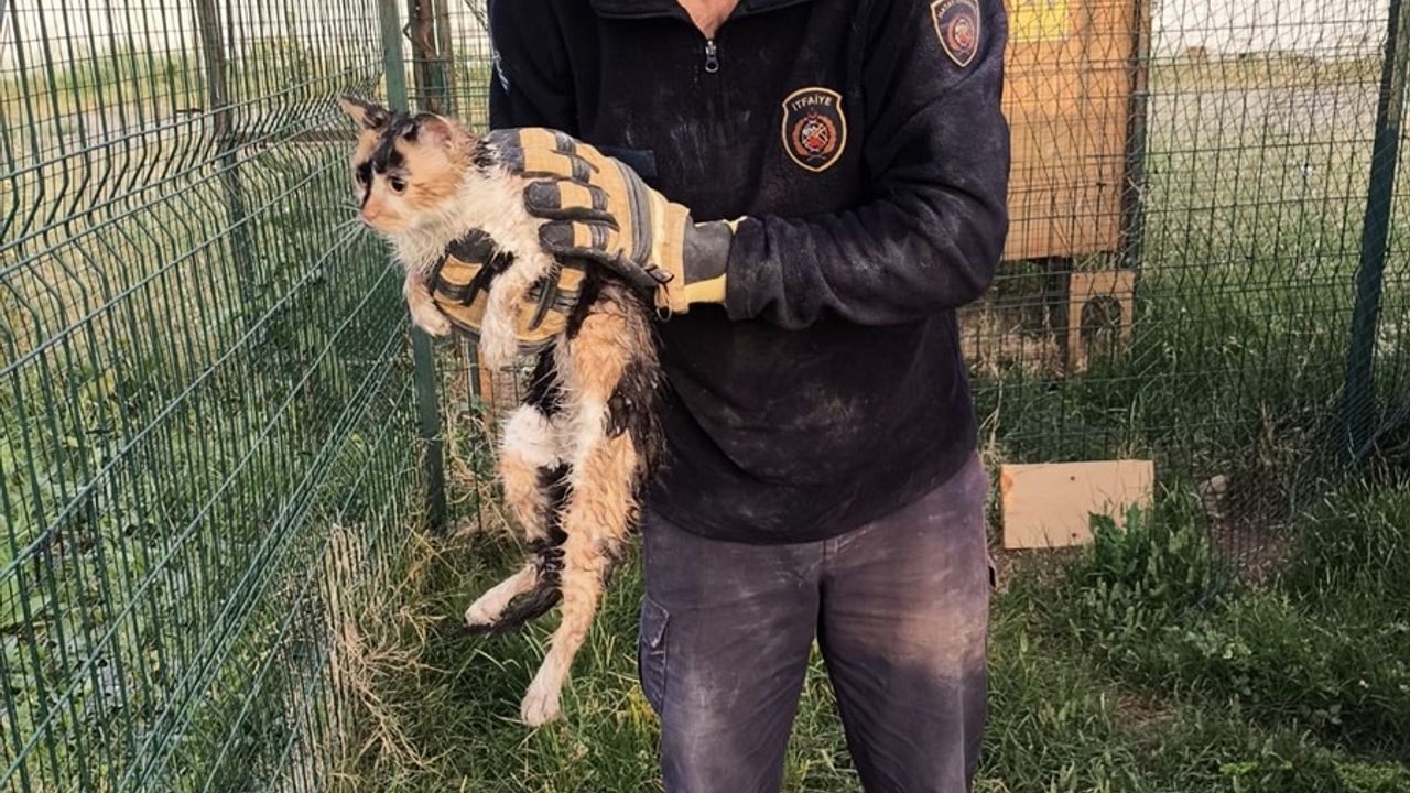 İskenderun'da Bina Boşluğuna Düşen Kedi İtfaiye Tarafından Kurtarıldı