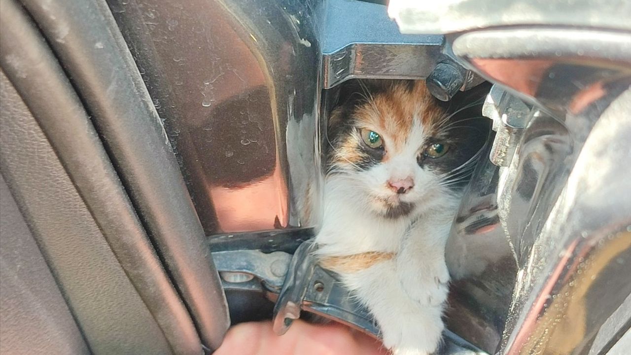 İskenderun'da Sıkışan Kedi Yavrusu İtfaiye Tarafından Kurtarıldı