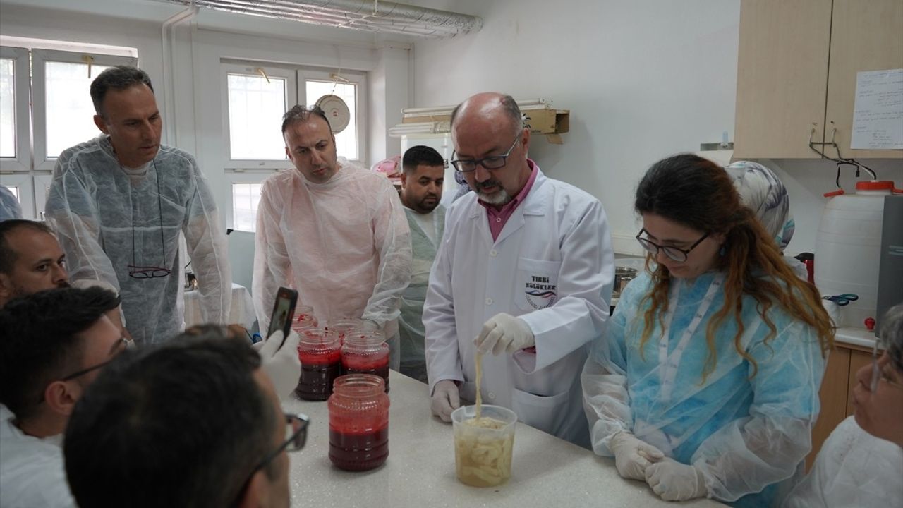 Isparta'da Tıbbi Sülük Yetiştiriciliği Eğitimi Tamamlandı