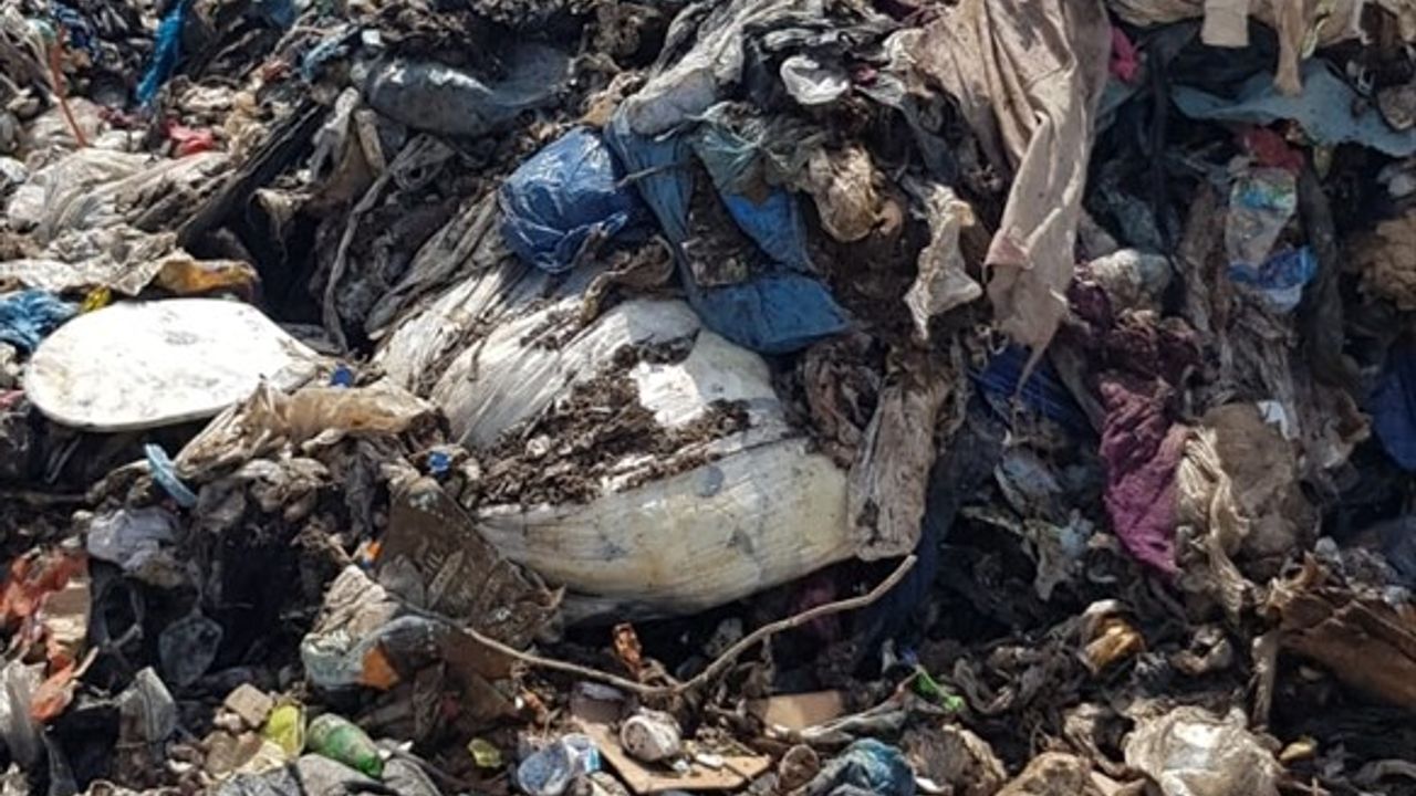 İzmir Büyükşehir Belediyesi'ne Çevre Kirliliği Cezası