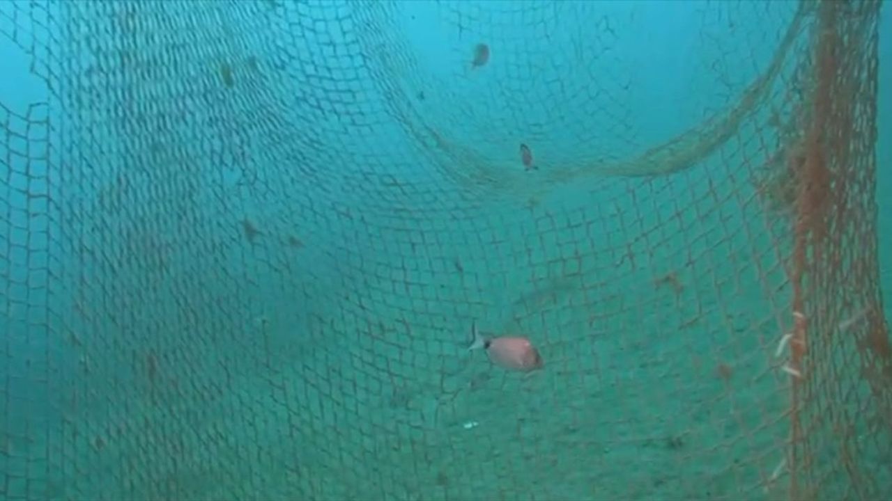 İzmir Karaburun'da 1,5 Ton Hayalet Ağ Temizliği
