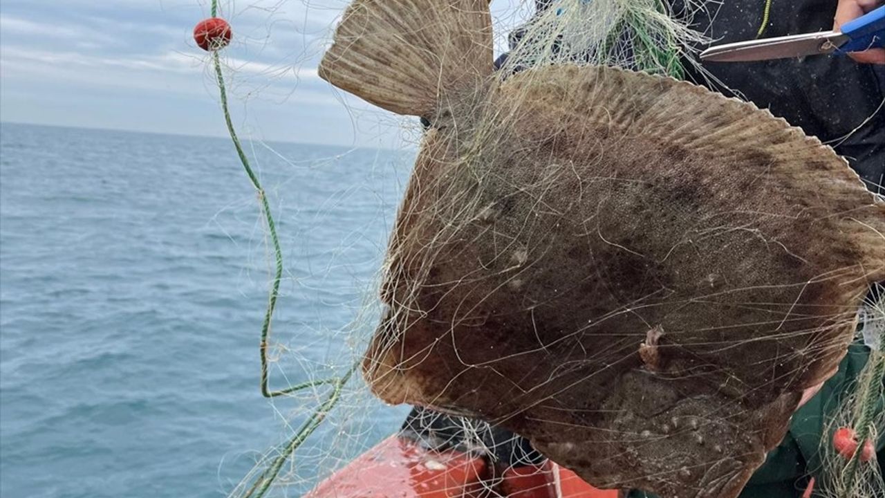 Karadeniz'de Kaçak Ağ Operasyonu: 44 Bin Metre Ağ Toplandı