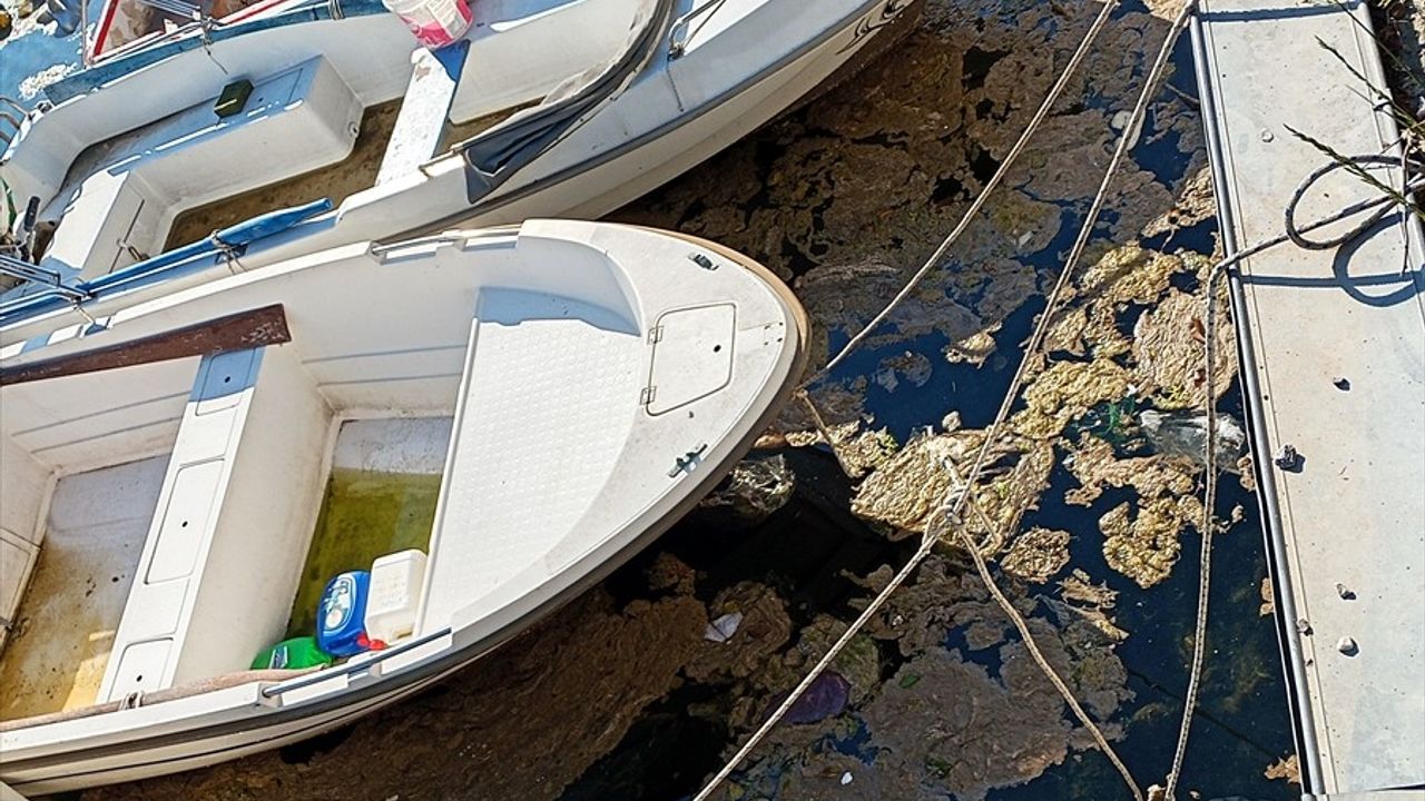 Karamürsel'de Denizde Köpüklü Tabakalar Oluştu