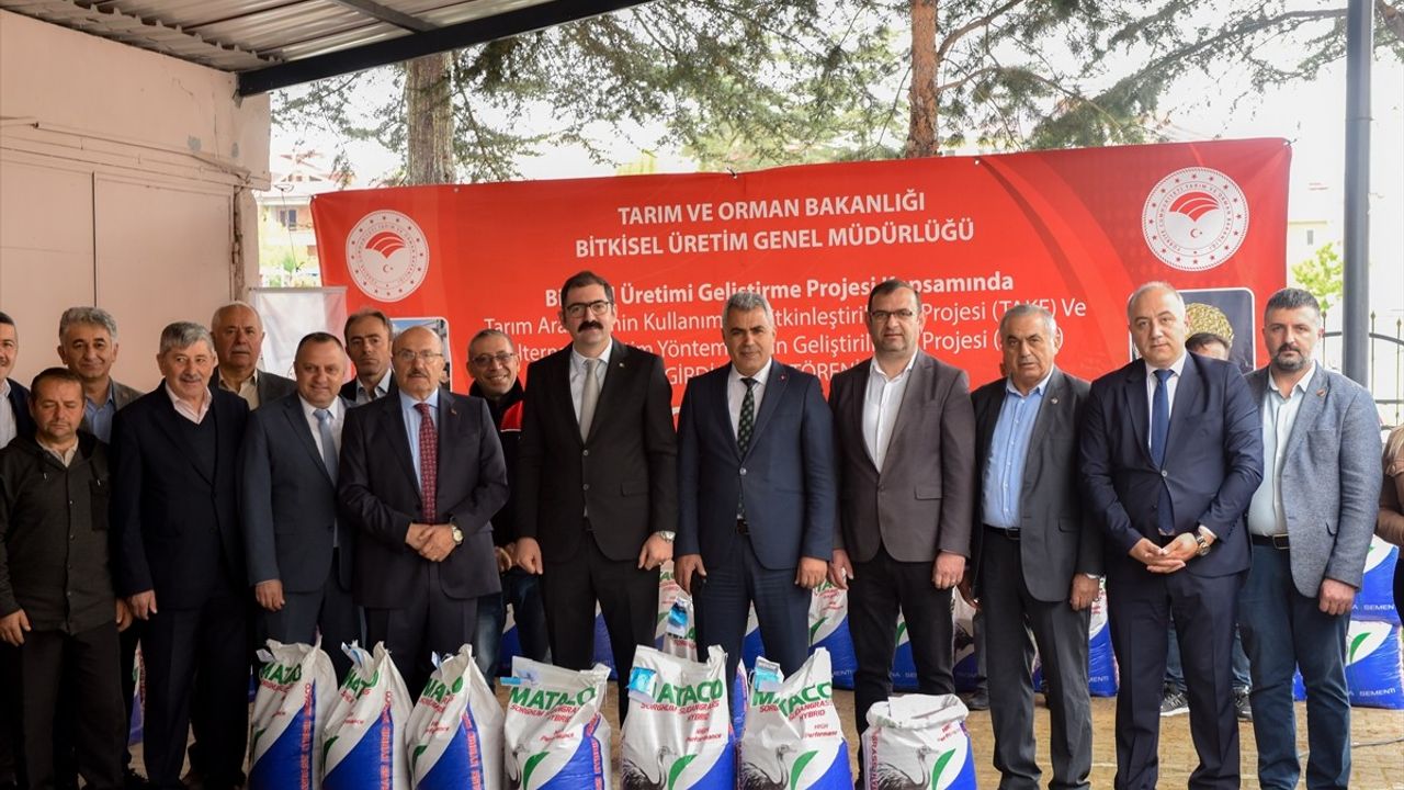 Kastamonu'da Yem Maliyetlerini Düşüren Proje: Sorgum Sudan Otu Melezi