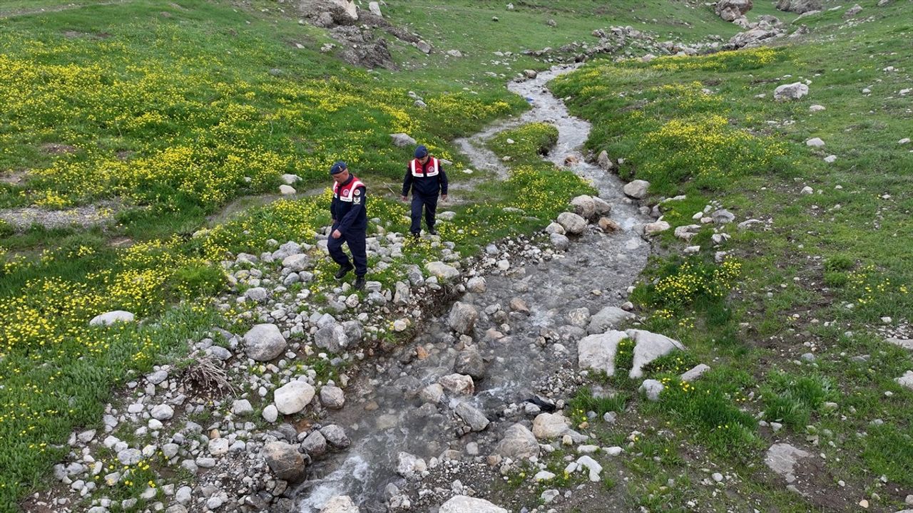Kayseri'de Jandarma Endemik Bitkileri Koruyor