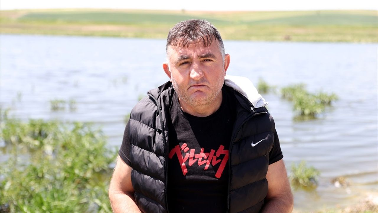 Kırklareli'nde Balık Ölümleri Üzerine İnceleme Başlatıldı