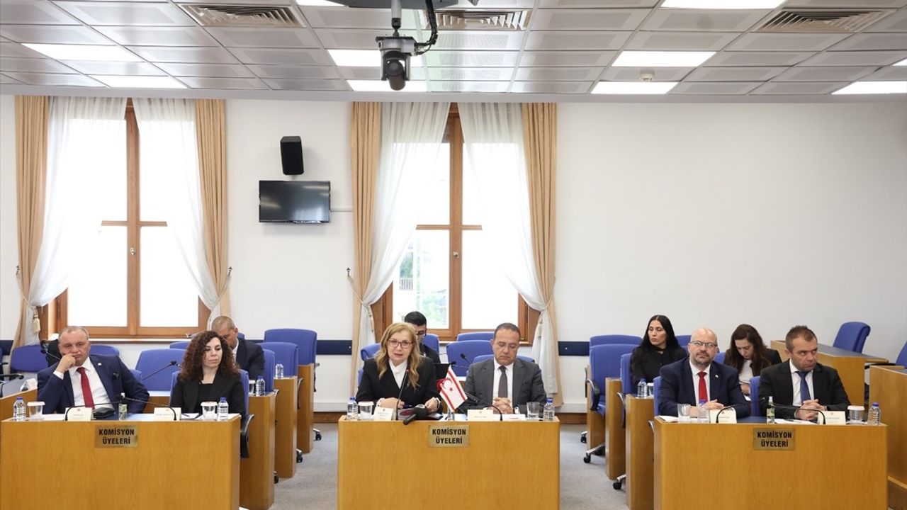 KKTC Heyetinin TBMM'deki Ziyareti