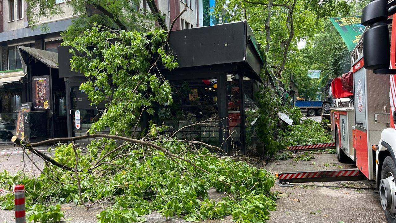 Kocaeli'de Fırtına Sonrası Kafe Hasar Gördü