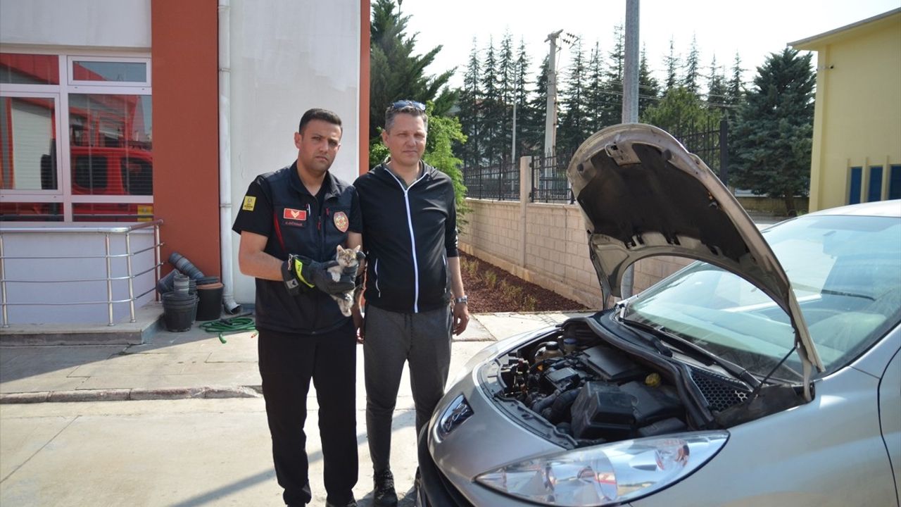 Konya'da Arabaya Sıkışan Kedi Yavrusunu Kurtarma Anları