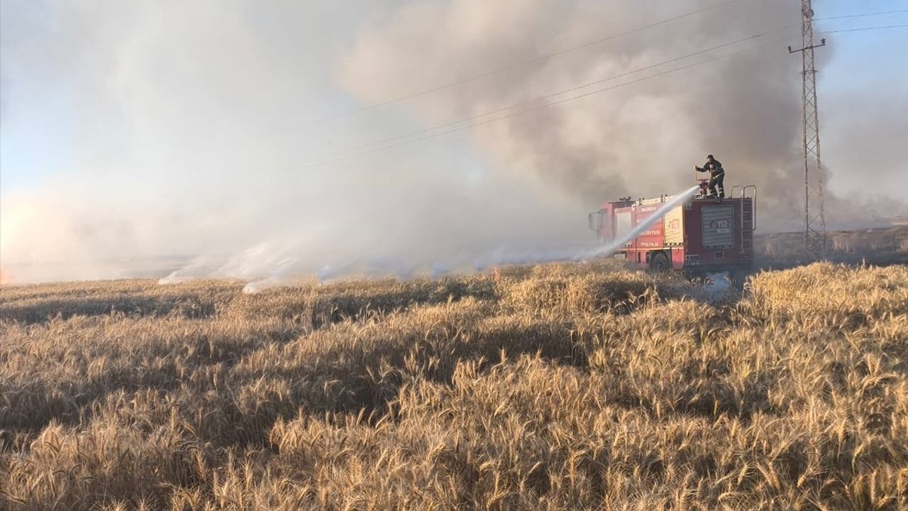 Mardin'de Yangın: 155 Dönüm Buğday Alanı Zarar Gördü