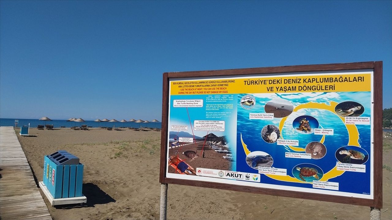 Muğla'da Caretta Caretta Yuva Sayısı 10’a Yükseldi