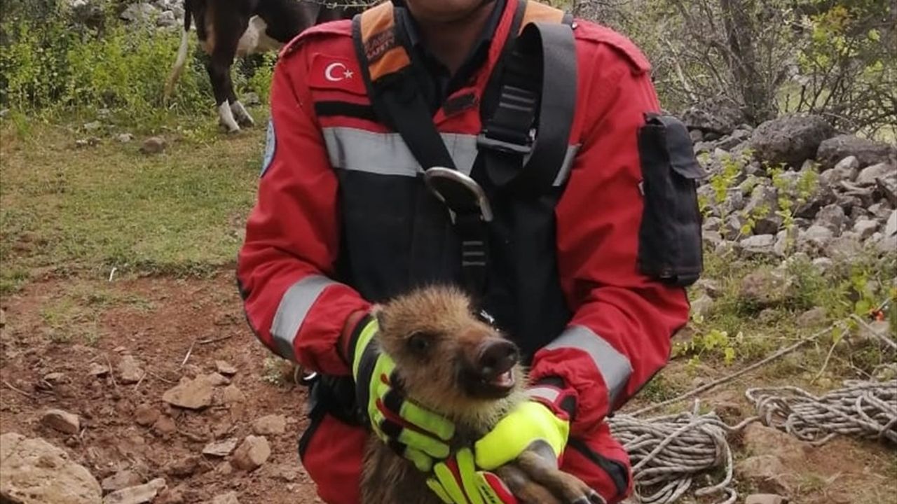 Muğla'da Hayvan Kurtarma Operasyonları Başarıyla Tamamlandı