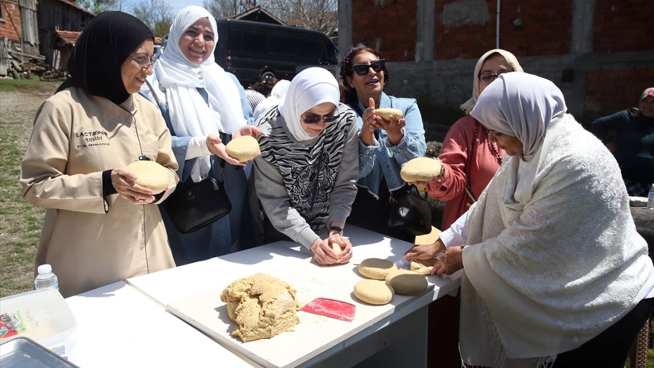 Orta Doğu'dan Kadın ve Şefler Kastamonu'da Siyez Buğdayını İnceledi