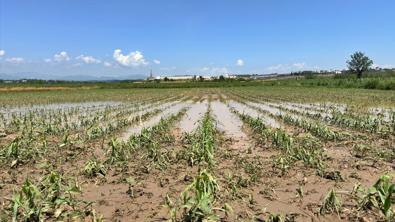 Osmaniye'de Sağanak ve Dolu Tarım Arazilerine Zarar Verdi