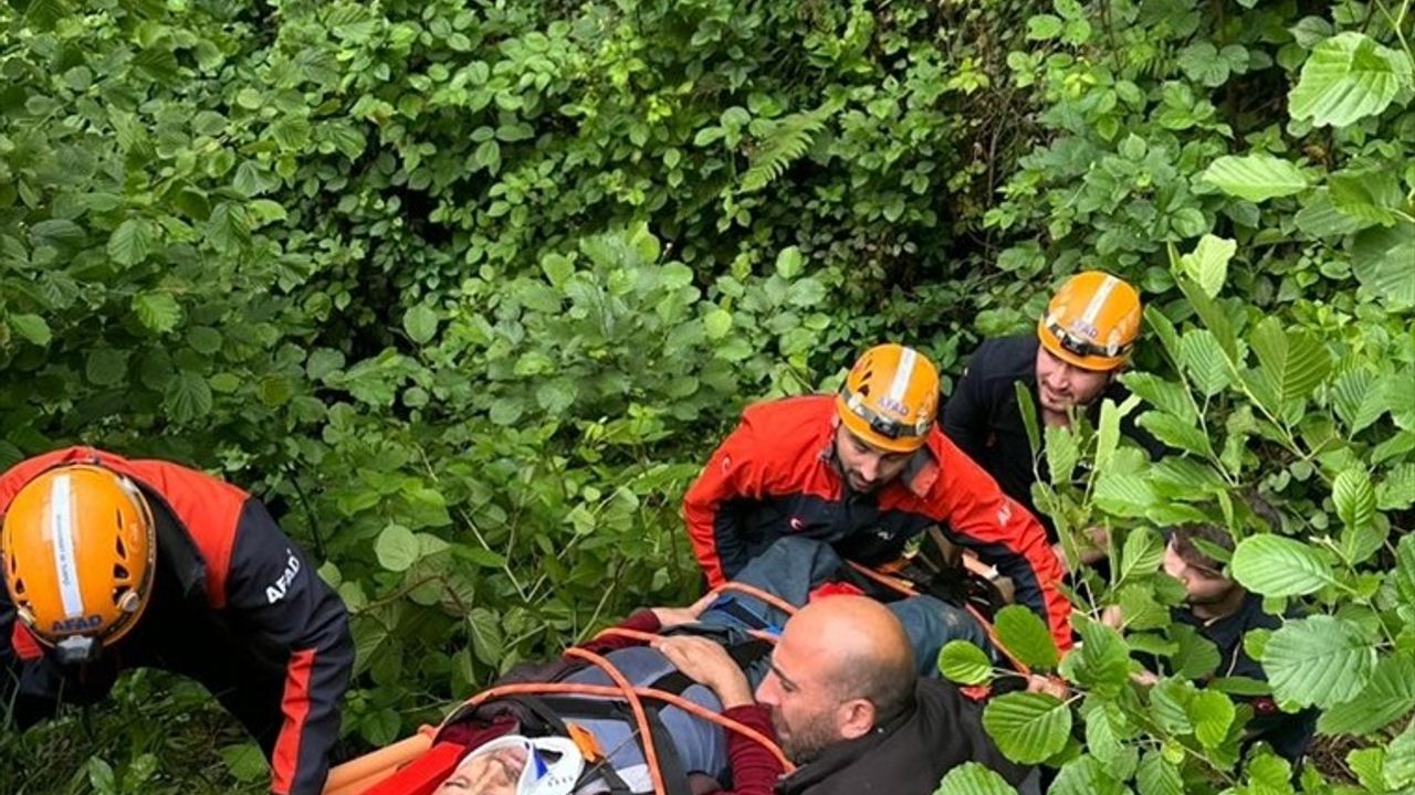 Rize'de Çay Hasadı Sırasında Kaza: Bir Kişi Yaralandı