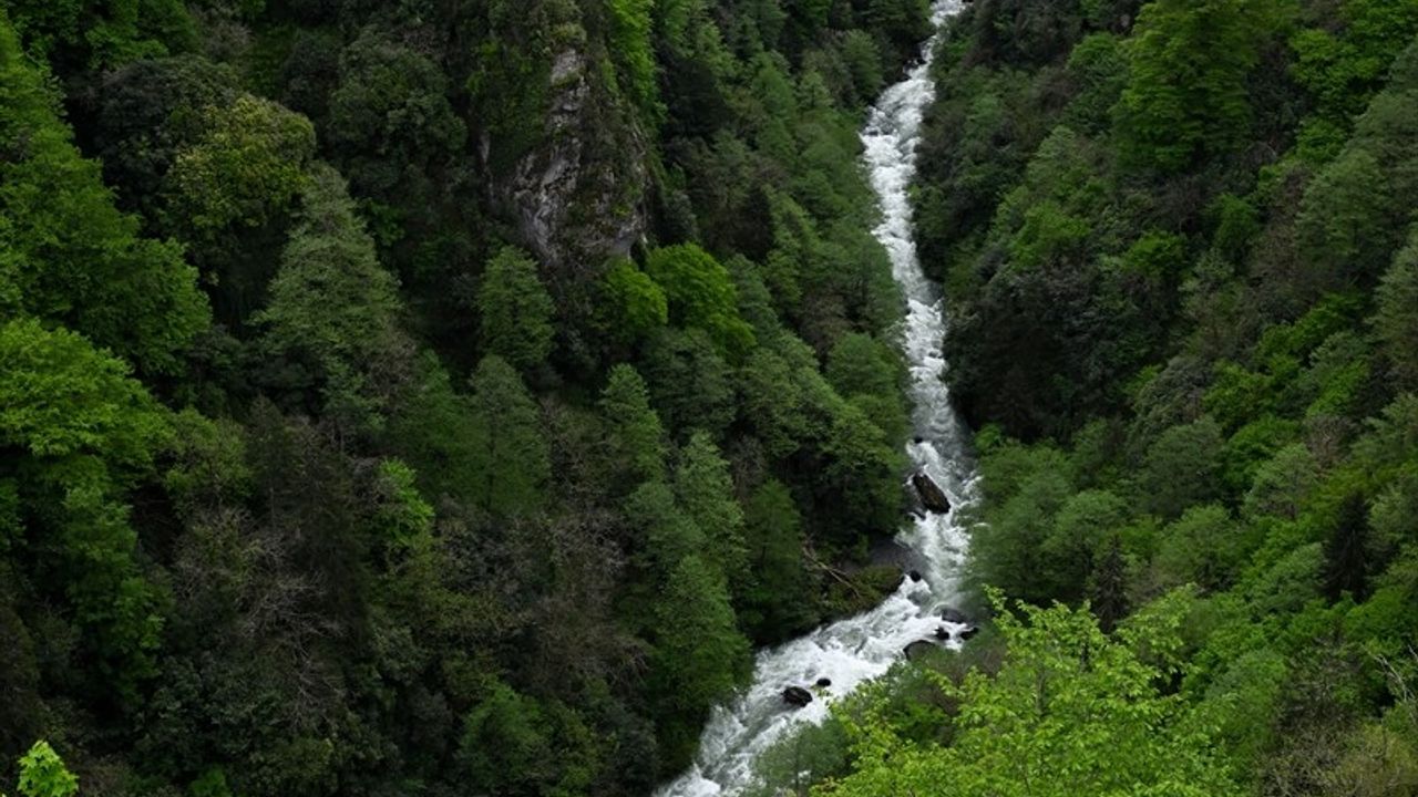 Rize'nin Doğal Güzellikleri Ziyaretçileri Bekliyor