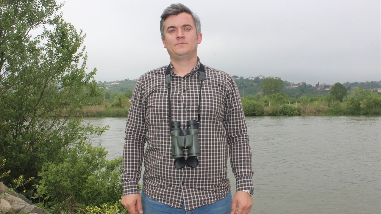 Sakarya'da Su Samuru Fotokapanla İlk Kez Görüntülendi