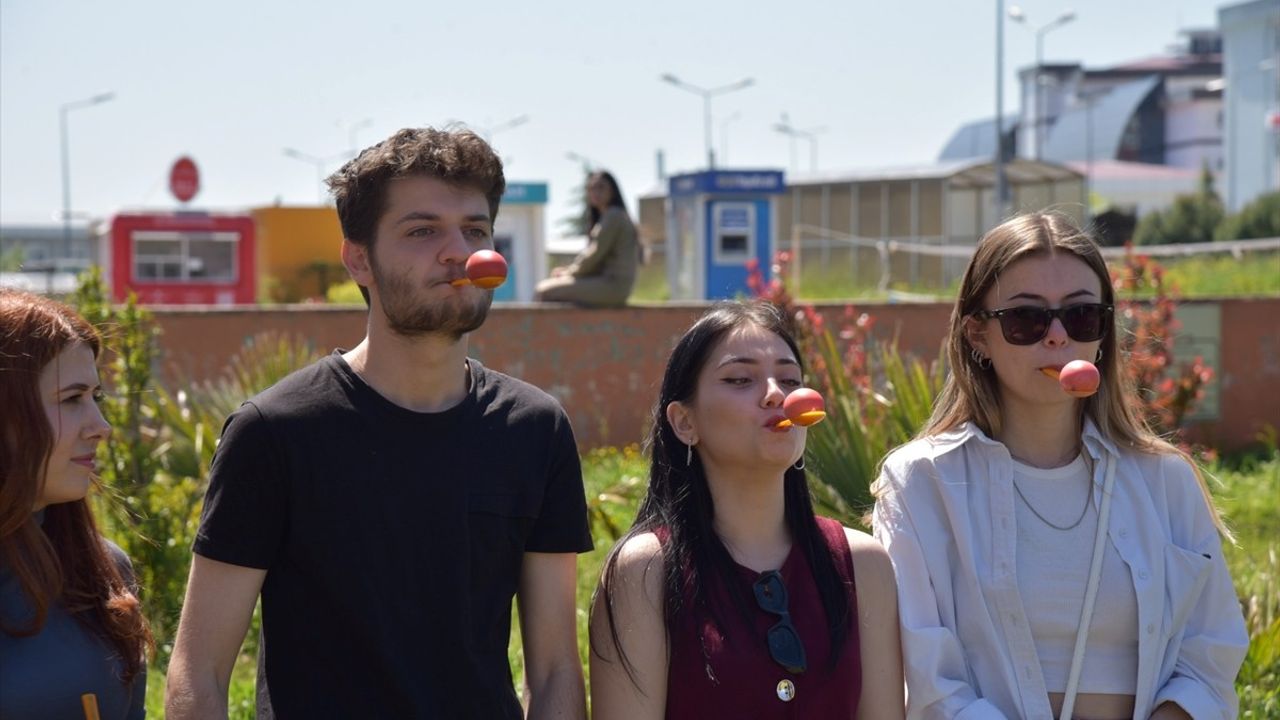 Samsun'da Baharın Müjdecisi Hıdırellez Şenliği