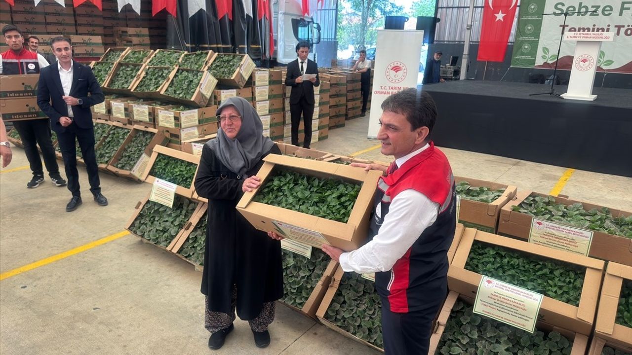 Silivri'de 1153 Çiftçiye 740 Bin Sebze Fidesi Dağıtıldı