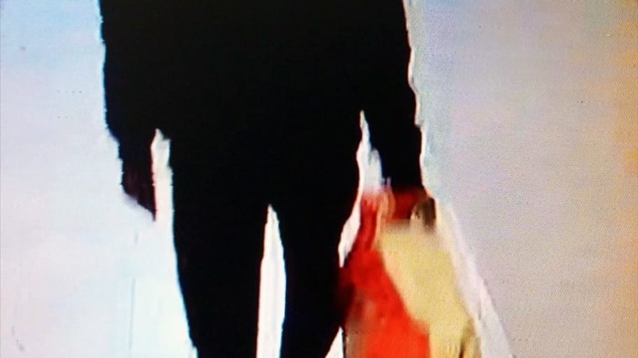 Sivas'ta İki Kardeşi Bıçaklayarak Öldüren Zanlı Yakalandı