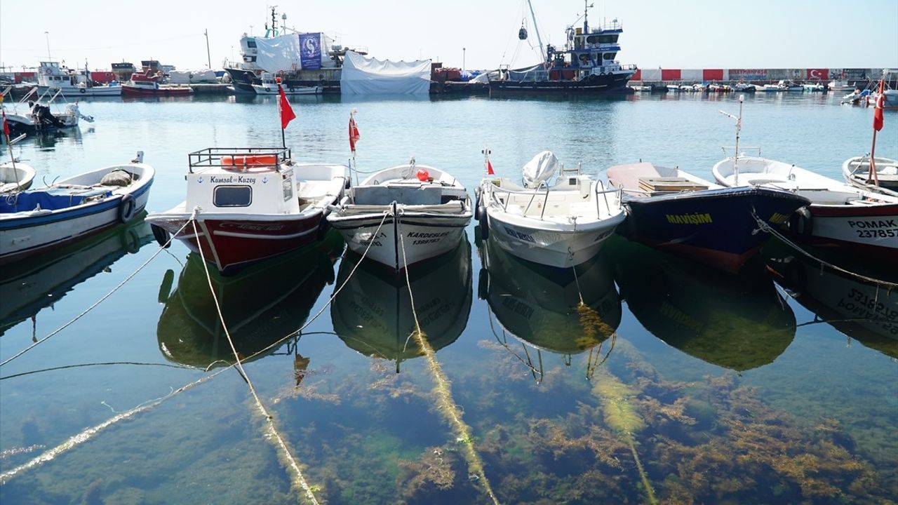 Tekirdağ Balıkçıları İstavrit Umuduyla Denize Açıldı