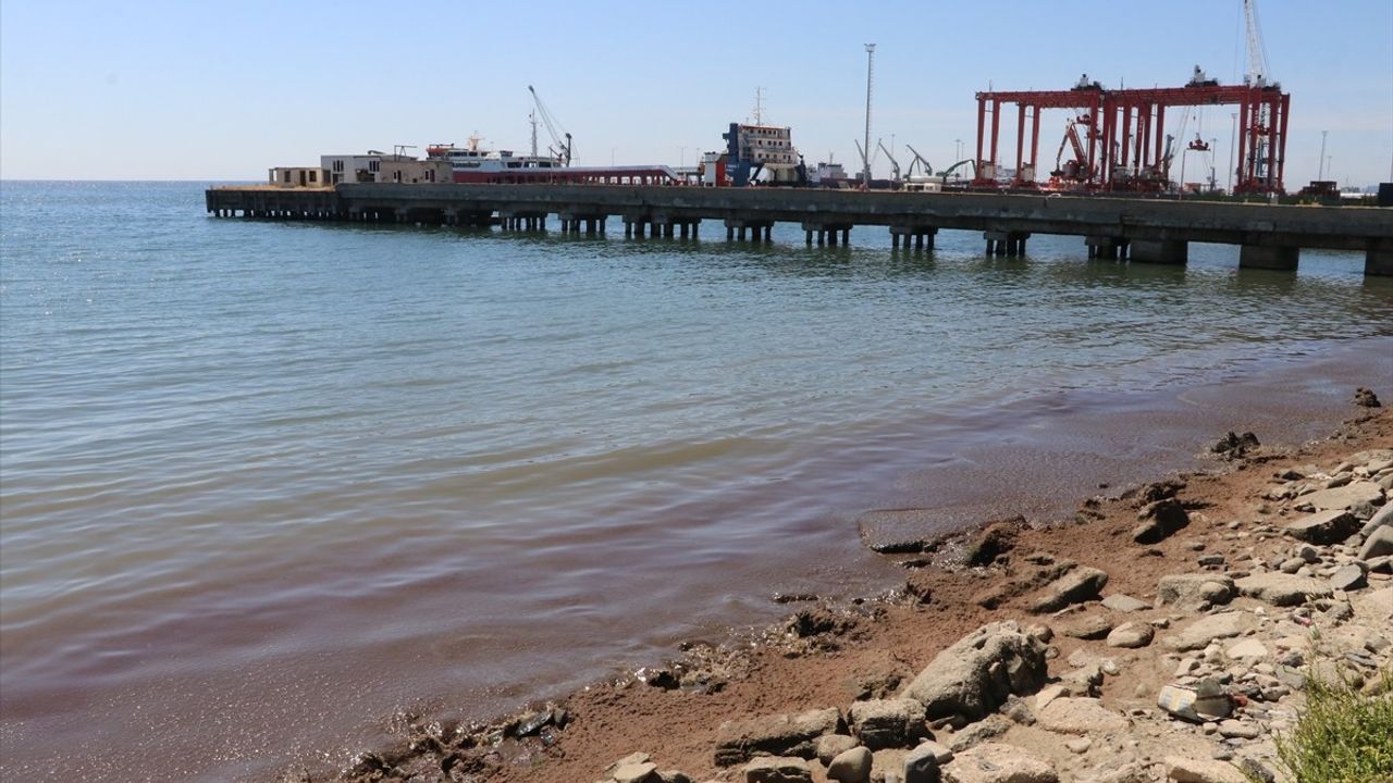 Tekirdağ'da Kuvvetli Rüzgar Yosun Birikintilerine Neden Oldu