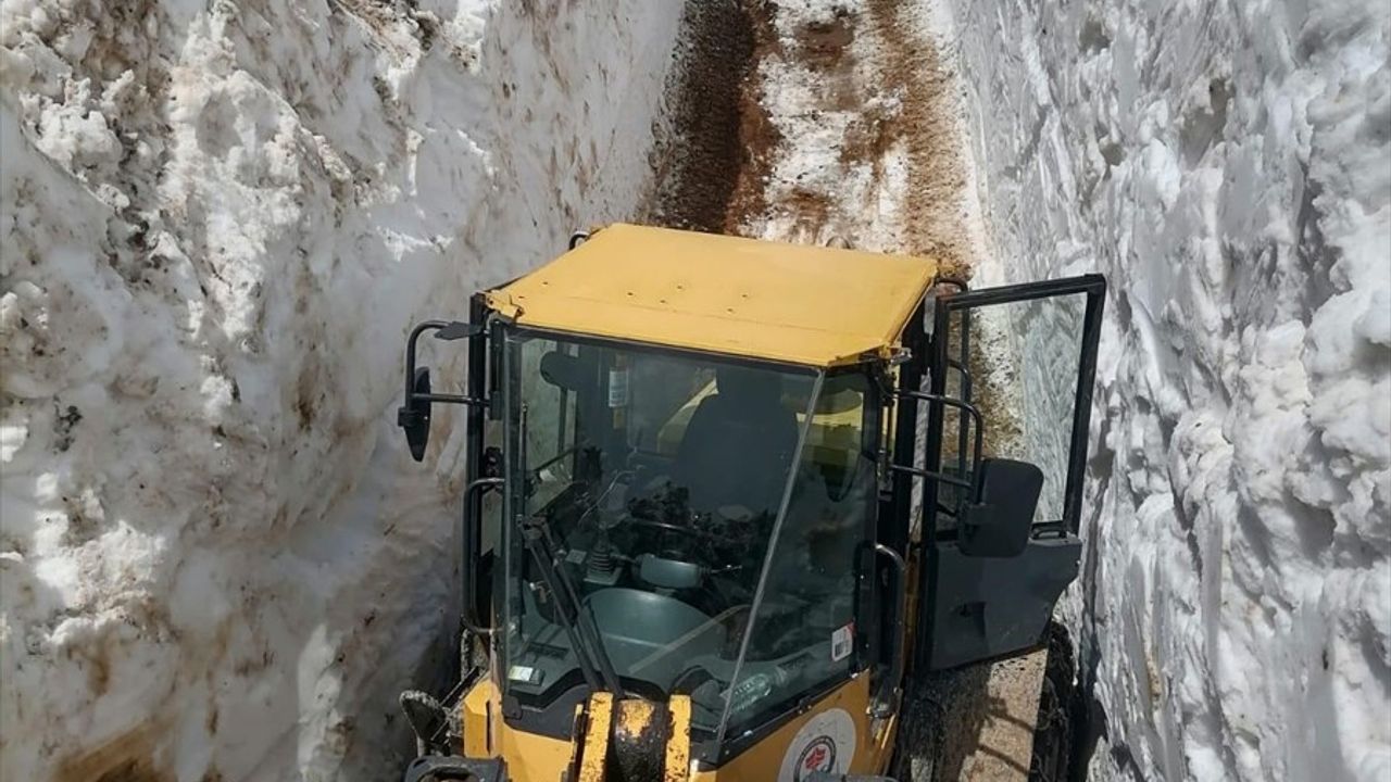 Trabzon'da Karla Mücadele Çalışmaları Devam Ediyor