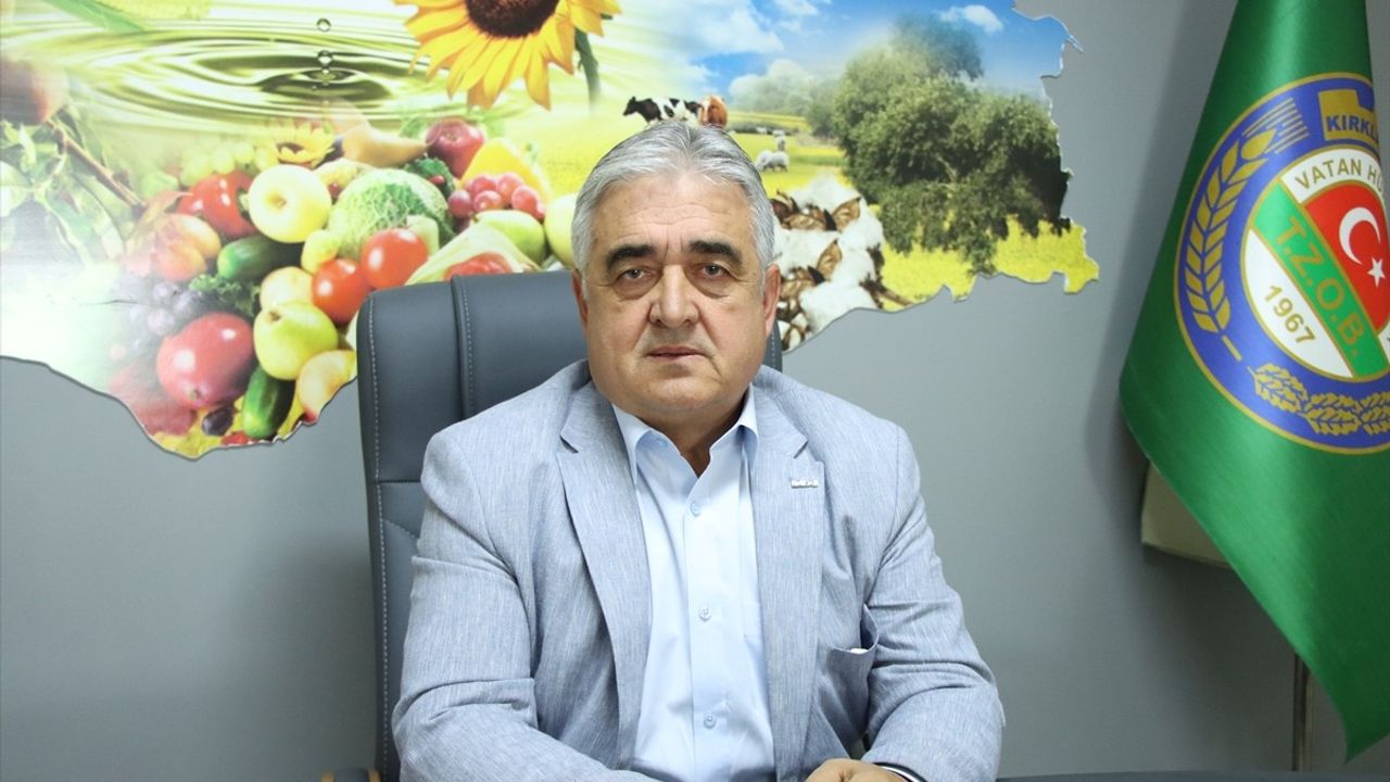 Trakya'da Ayçiçeği Gelişimi Yağışlarla Hızlandı