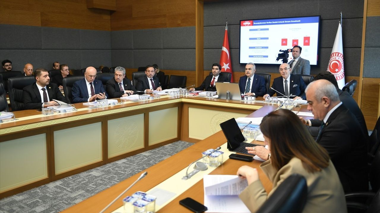 Türk Eximbank'ın Bilanço Büyümesi TBMM'de Görüşüldü