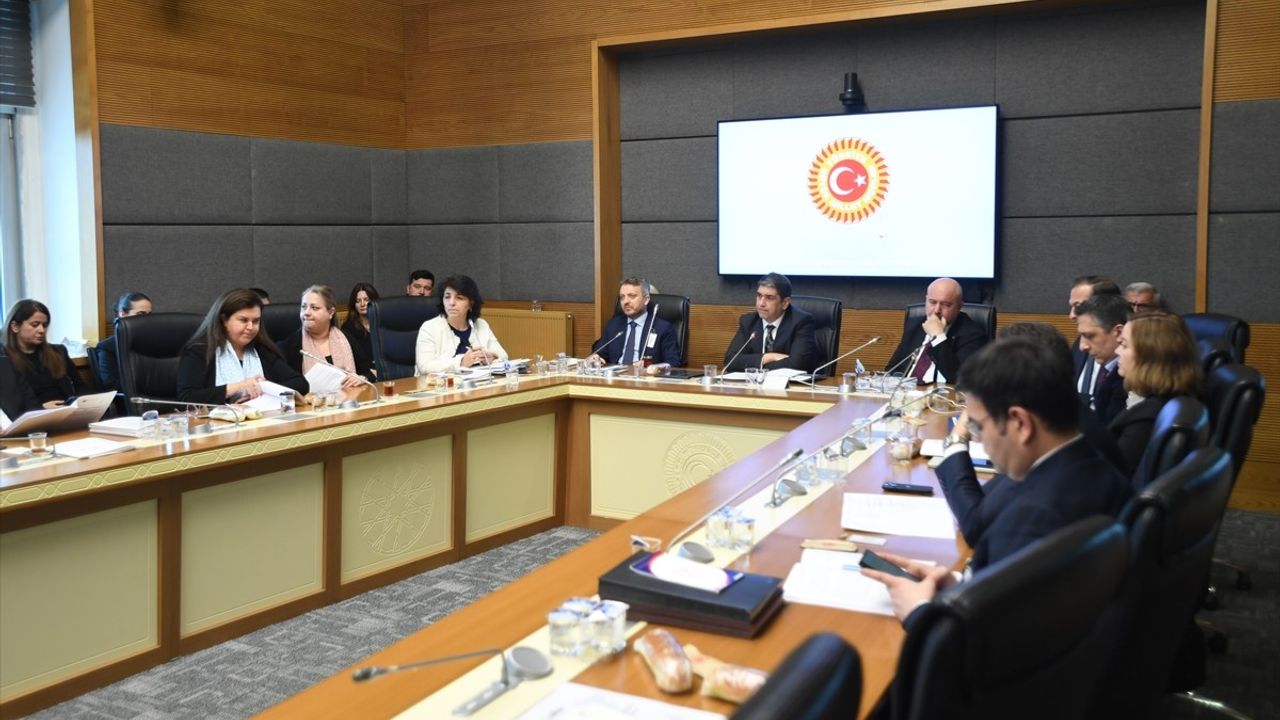 Türkiye Kalkınma ve Yatırım Bankası'nın 2021-2022 Hesapları TBMM'de Görüşüldü