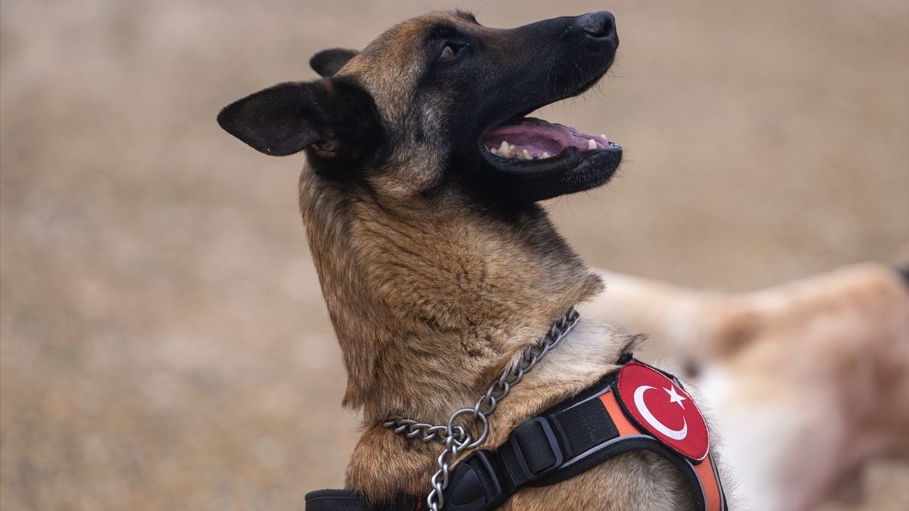 Türkiye ve KKTC Ortak Deprem Tatbikatı Gerçekleştirildi
