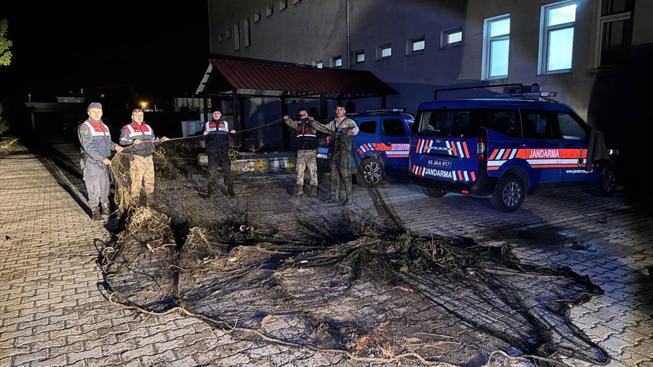 Van'da Kaçak Avlanan İnci Kefali Suya Geri Bırakıldı