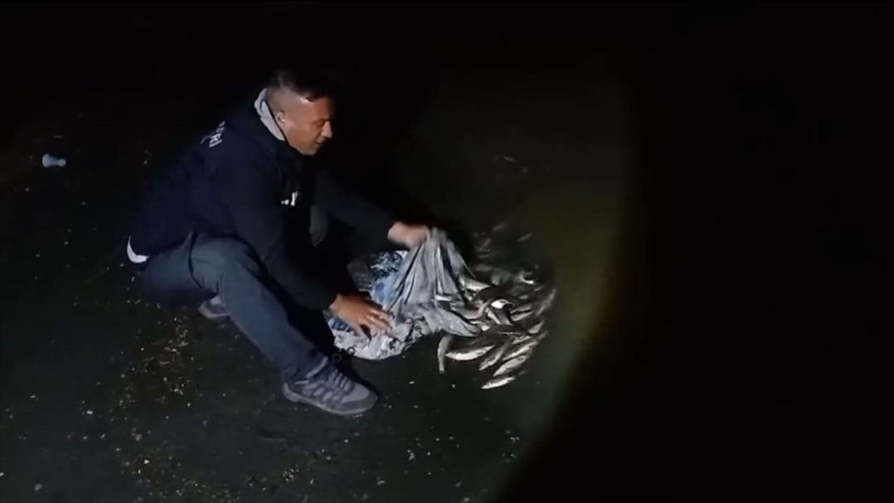 Van'da Kaçak İnci Kefali Avına Sert Ceza