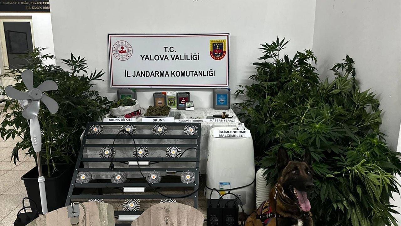 Yalova'da Uyuşturucu İmal Eden Zanlı Tutuklandı