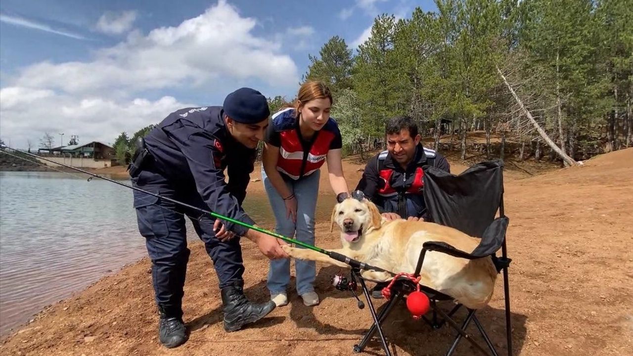 Yozgat'ta İz Takip Köpeği Dost Emekli Oldu