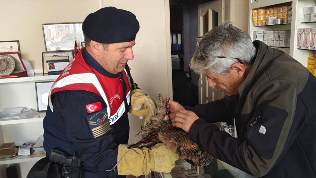 Yozgat'ta Yaralı Puhu Tedavi Altına Alındı