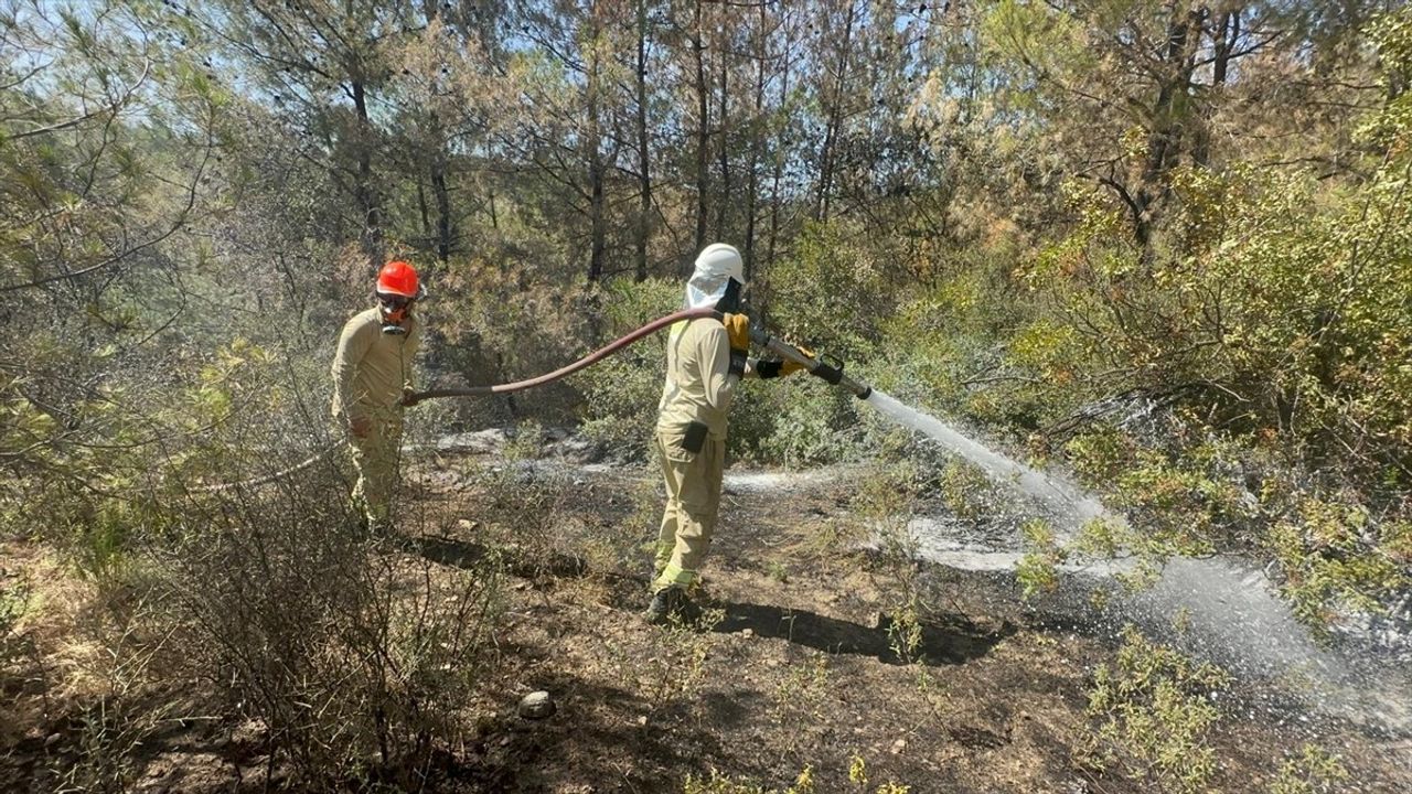 Adana'da Orman Yangını: Ekipler Mücadele Ediyor