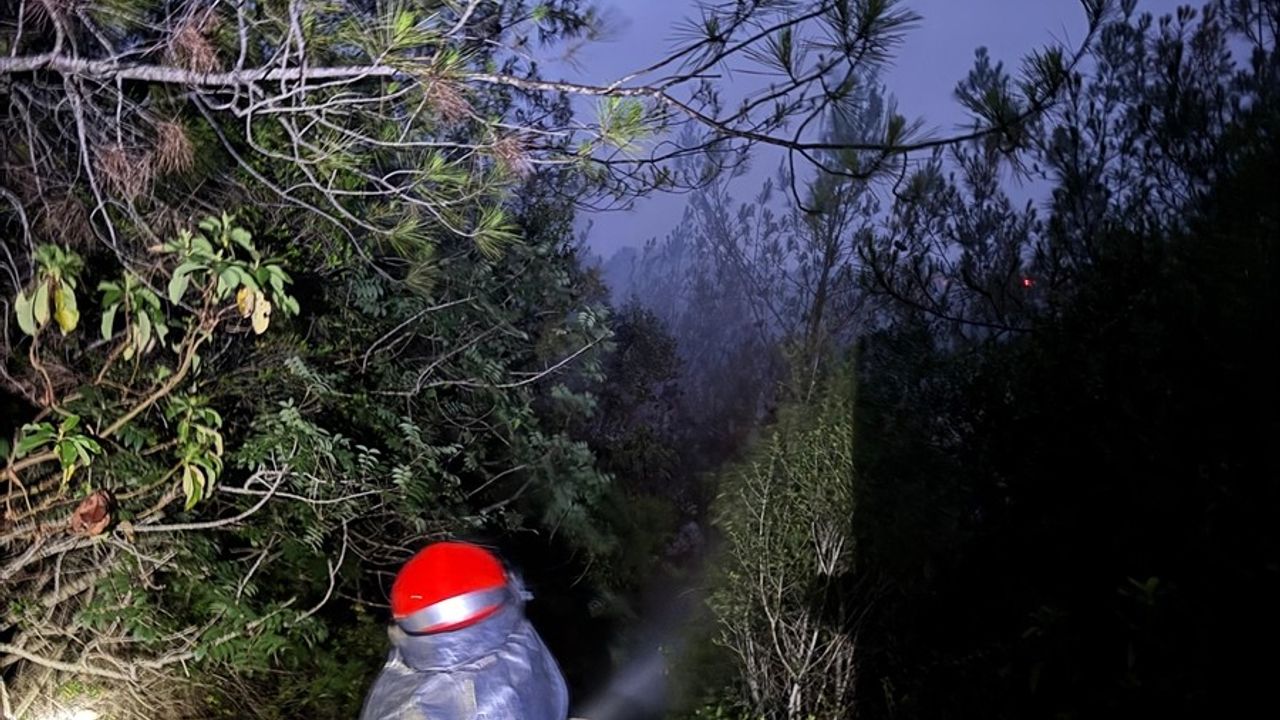 Adana'daki Orman Yangını Kontrol Altına Alındı