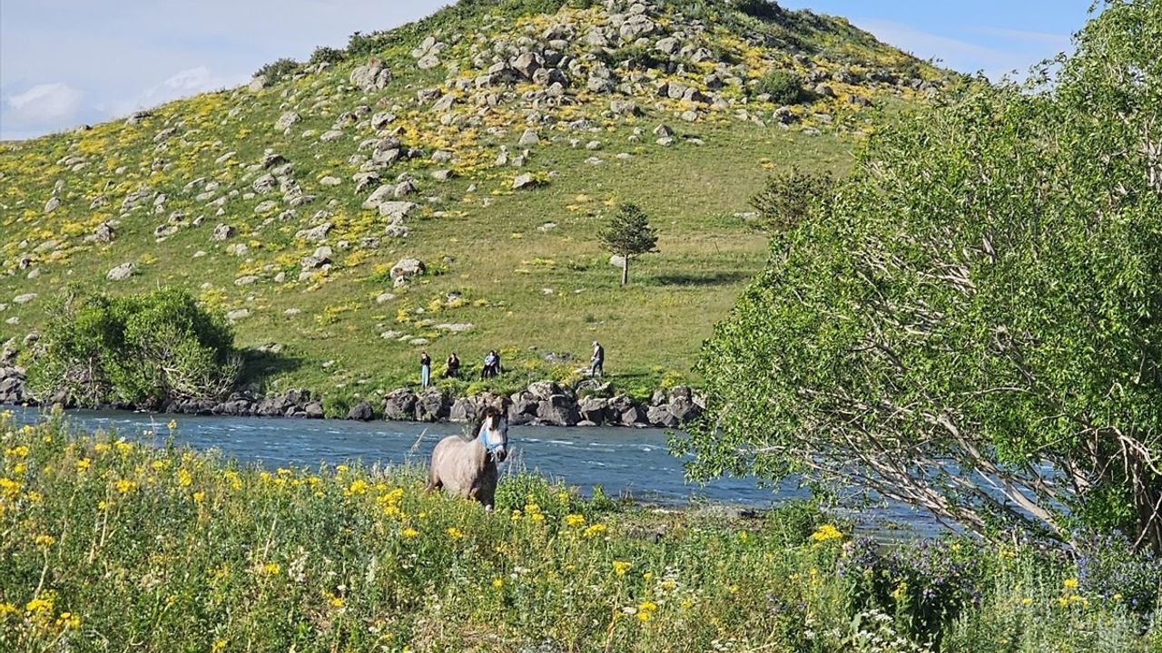 AFAD Ekipleri Çıldır Gölü'ndeki Mahsur Ata Yardım Eli Uzattı