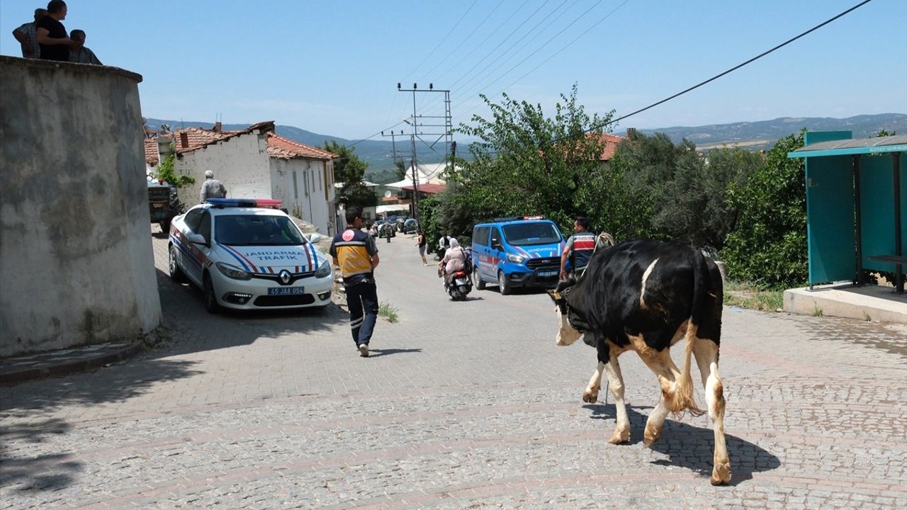 Akhisar'da Orman Yangını Şüphelisi Tutuklandı