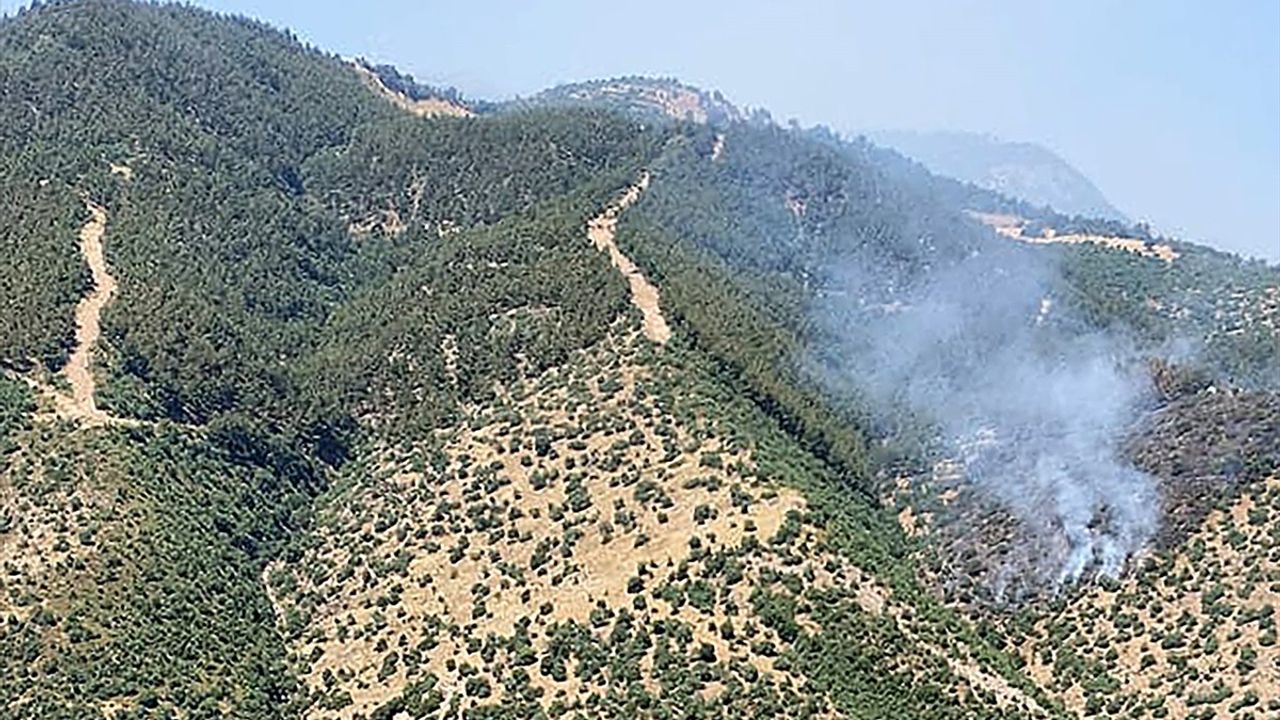Alaşehir'de Orman Yangını Kontrol Altına Alındı