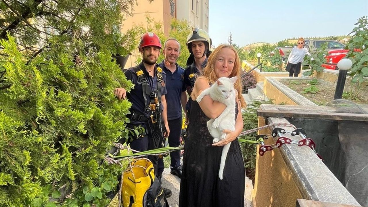 Ankara'da Havalandırma Boşluğuna Düşen Kedi Kurtarıldı