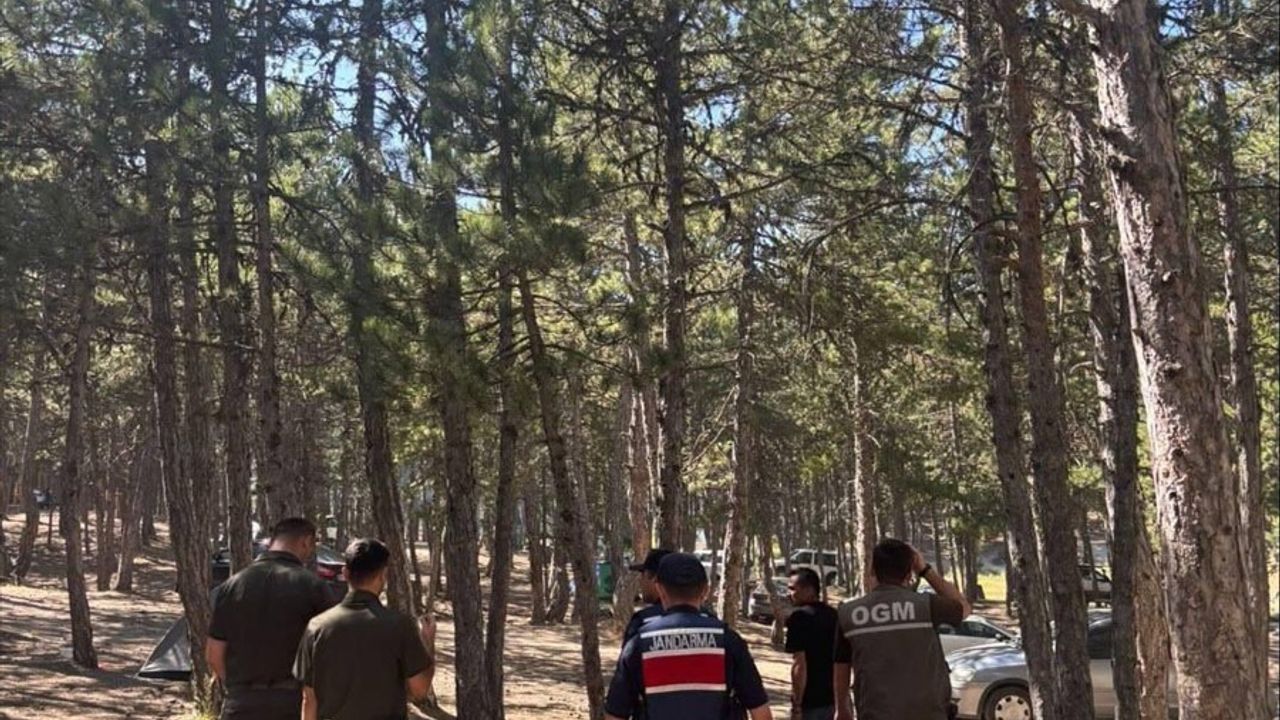 Ankara'da Orman Yangınlarına Karşı Önlemler Artırıldı