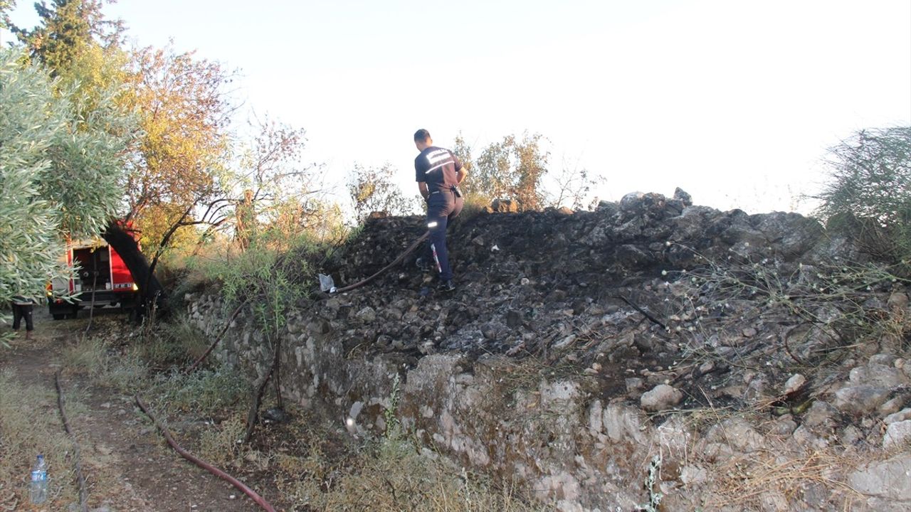 Antalya'da Aspendos Antik Kenti Yakınındaki Yangın Kontrol Altında