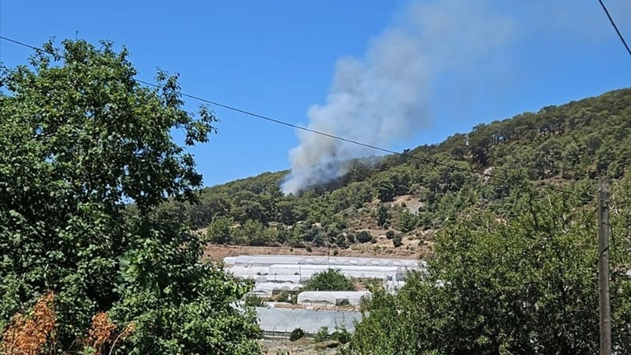 Antalya'daki Orman Yangınına Müdahale Başlatıldı